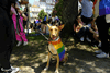 2023 07 08 - 18ª Marcha do Orgulho LGBTI+ do Porto - Preparativos